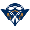 Tennessee-Martin Skyhawks team logo