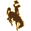 Wyoming Cowboys team logo