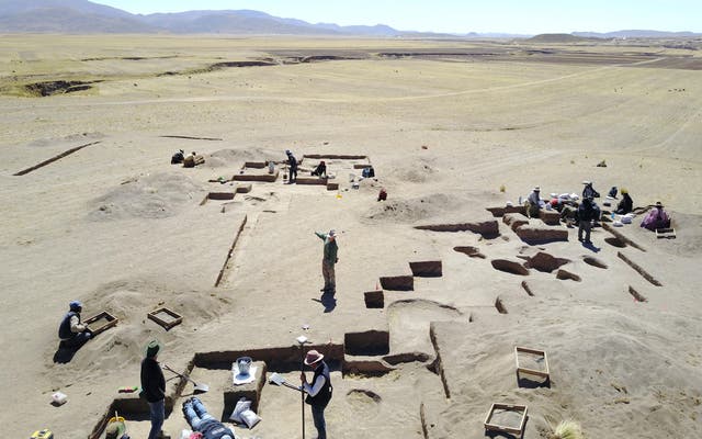 Diet of ancient Andes hunter-gatherers was 80% plant-based, study finds