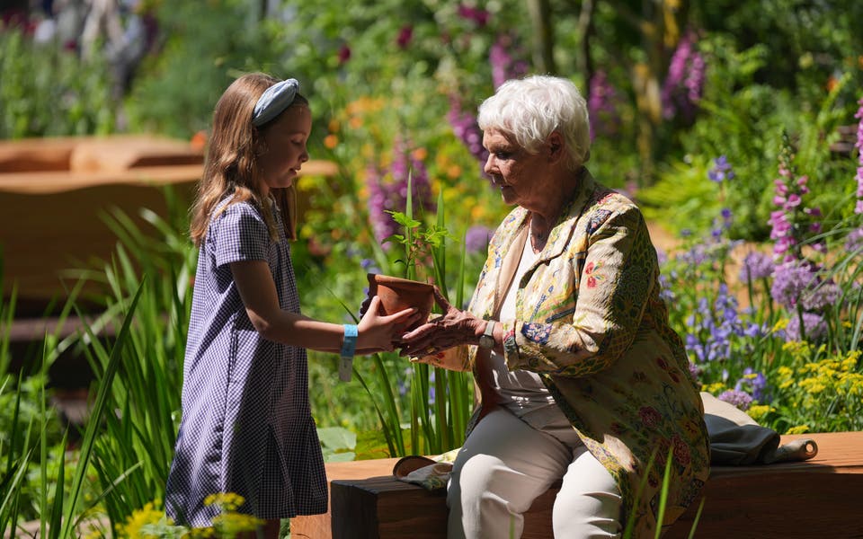 Drought-resistant plants, green innovation and flood storage feature at Chelsea