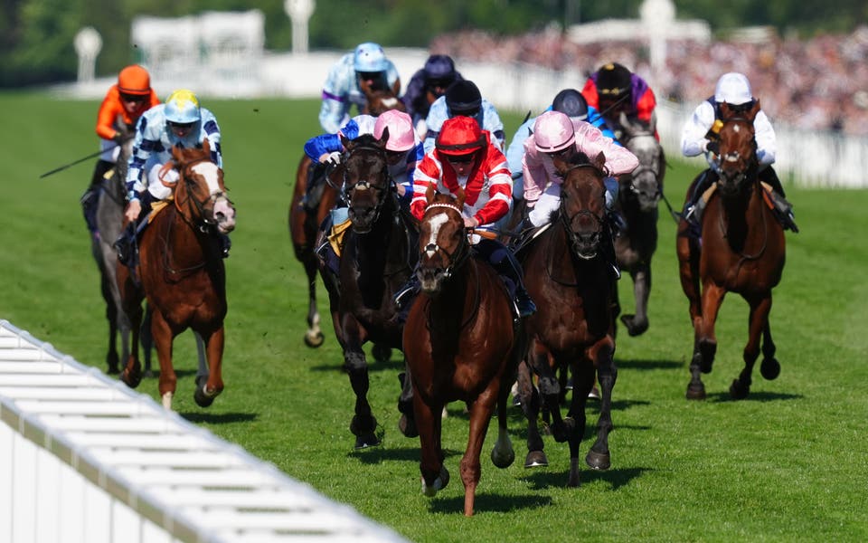 BBC Radio 4’s Today programme scraps daily horse racing betting tips