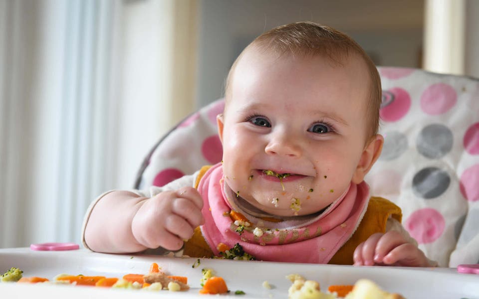 Baby-led weaning ‘provides ample nutrients to support growth and development’