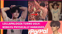 Mingyu Touched Inappropriately At 2024 Lollapalooza Berlin; Furious CARATs Curse