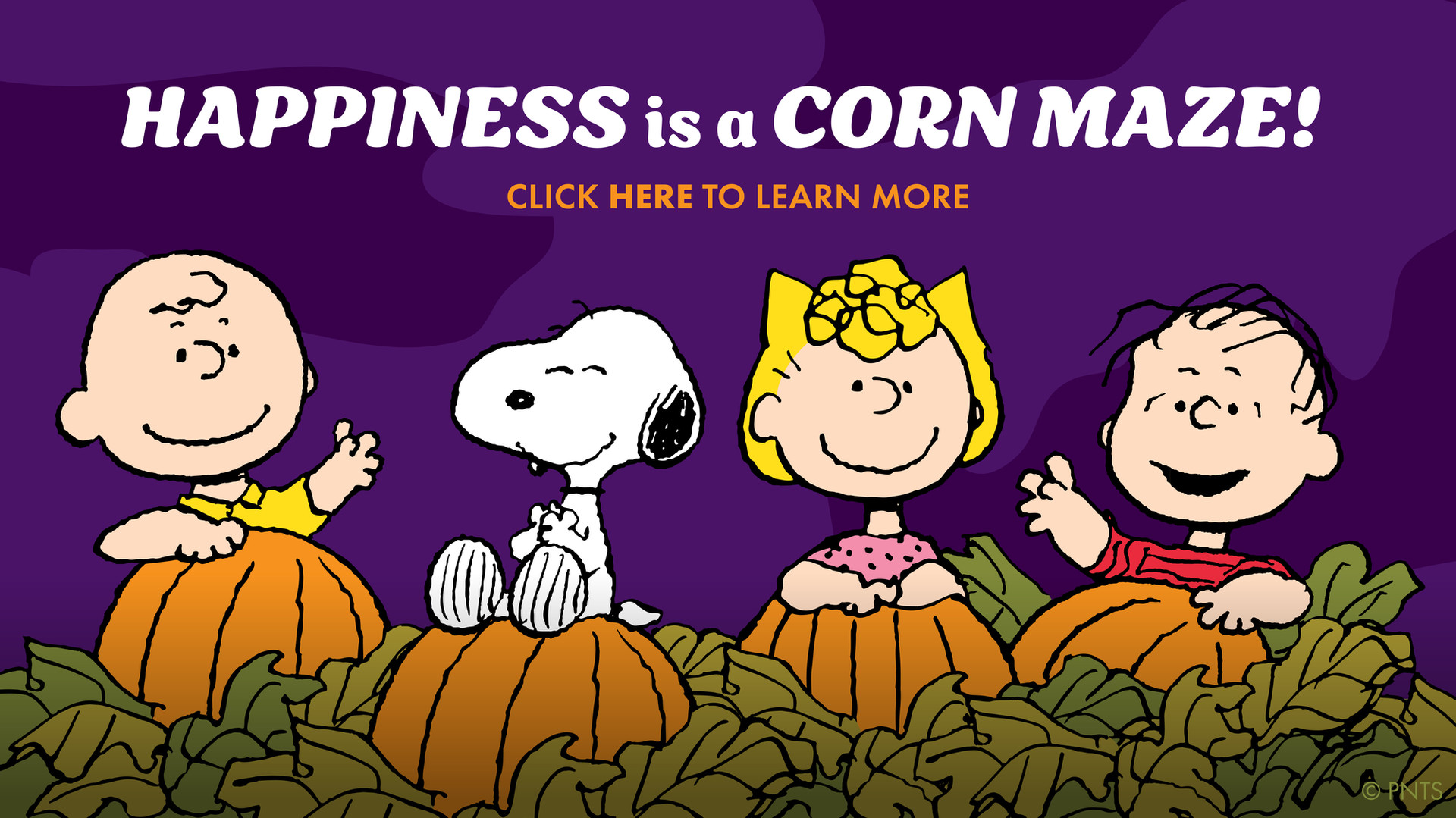 Happiness is a corn maze! Click here to learn more