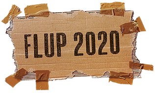 BOX FLUP 2020_P.png