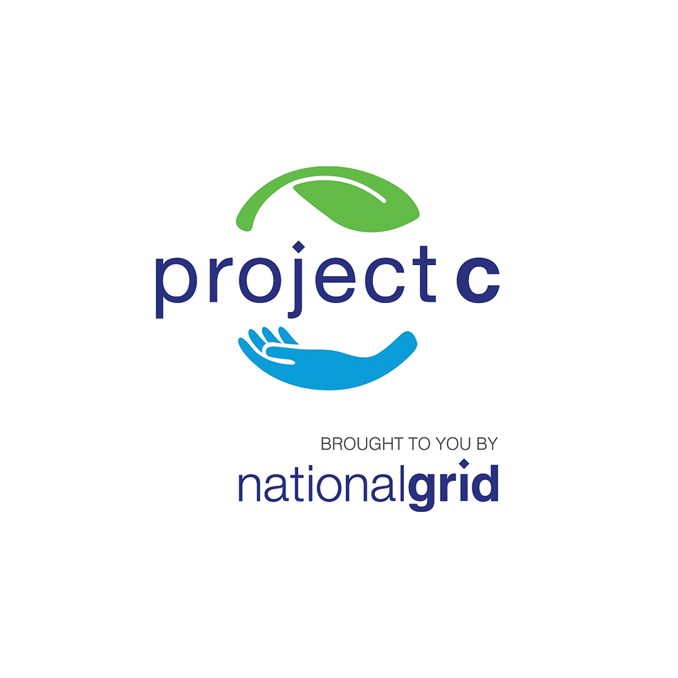 National Grid Project-C_Logo_V_RGB_Full-Color_NG (1).jpg