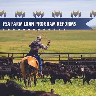 USDA Enhances Farm Loan Program to Help Producers Build Equity, Save for Long-term Needs and Invest in Operations