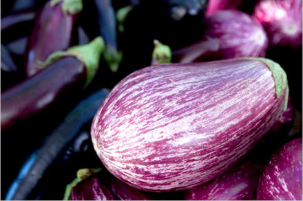 Image for Roasted Eggplant