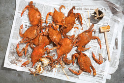 Image for Steamed Blue Crabs