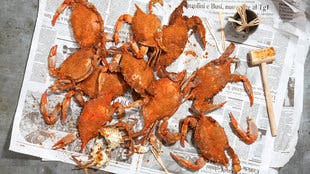 Steamed Blue Crabs