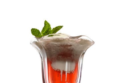 Raspberry Vinegar Float