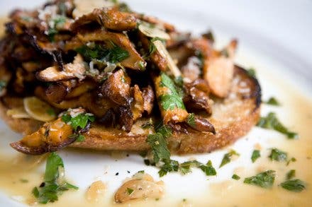 Chanterelles on Toast