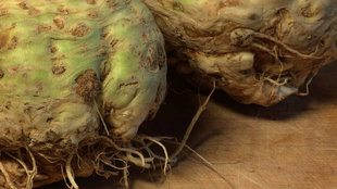 Image for Celery Root Salad With Arugula and Pecans