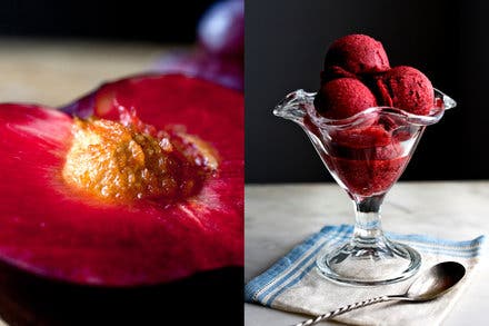 Plum Sorbet or Granita