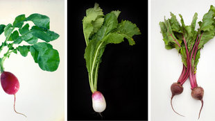 Image for Braised Turnips and Radishes