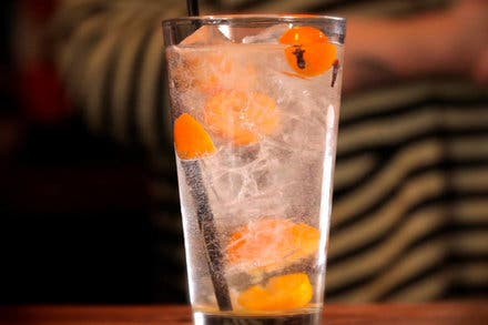 Kumquat and Clove Gin and Tonic