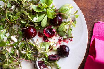 Image for Purslane Salad With Cherries and Feta