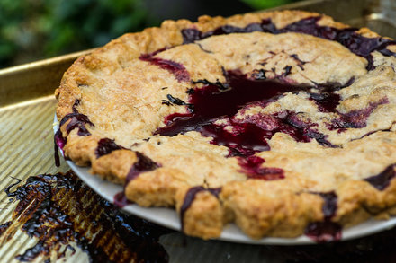 Image for Blueberry Pie With a Cornmeal Crust