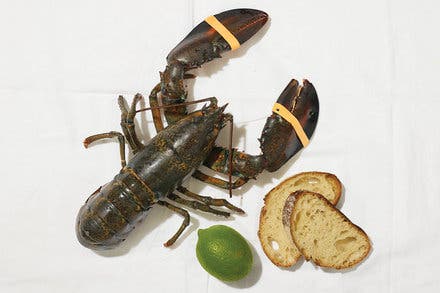 Chili Lobster With Texas Toast