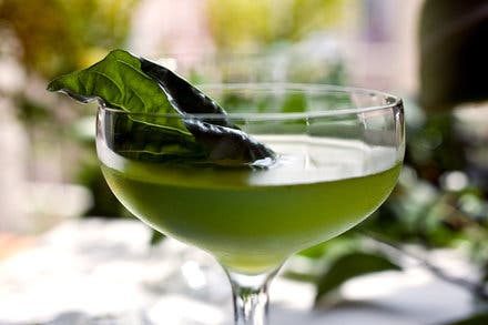 Live Basil Gimlet