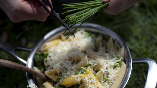 Image for Penne Carbonara With Fava Beans, Peas and Pecorino