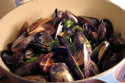 Simple Steamed Clams or Mussels