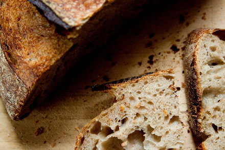 Image for Tartine’s Country Bread