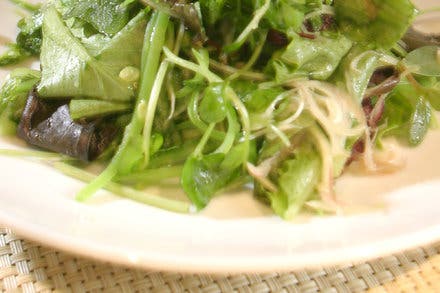 Lettuces, Sprouts and Snow Peas With Radish Water