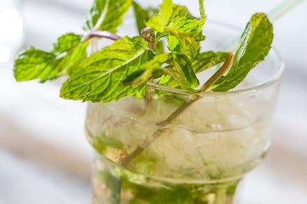 Rum Julep