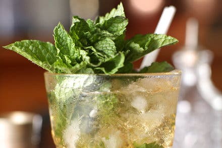 Prescription Julep