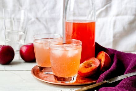 Summer Fruit Shrub