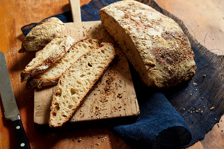 Image for Sourdough No-Knead Bread