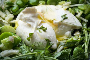 Burrata With Fava Beans, Fennel and Celery