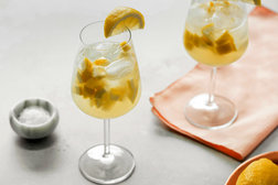 Image for Salted Lemon-Ginger Spritzer