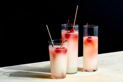 Image for Frozen Tom Collins