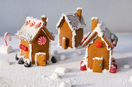 Image for Mini Gingerbread Houses