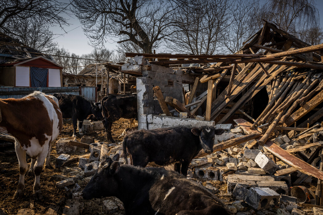上个月，一枚俄罗斯导弹袭击了乌克兰首都基辅以北的农场。
