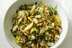Image for Orzo Salad With Lentils and Zucchini