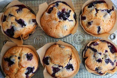 Jordan Marsh’s Blueberry Muffins