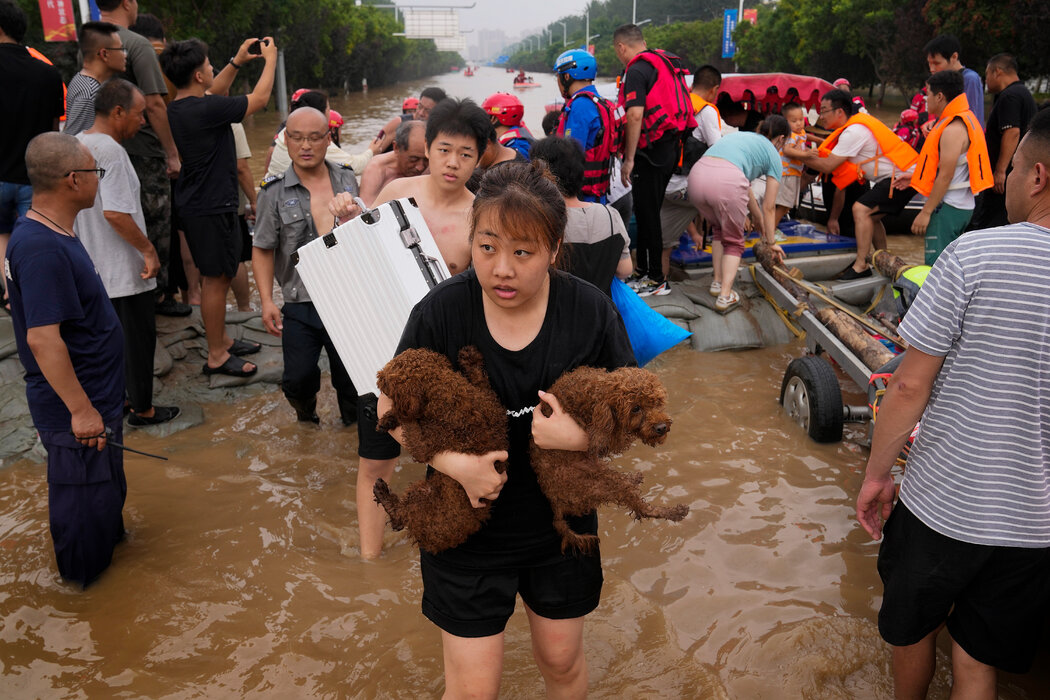 涿州居民撤離時，一名婦女牽著寵物狗。