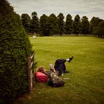 A person lying on the grass in a manicured garden, reading a book.