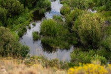 A riparian area in Wells, Nev., in the northeastern part of the state. In the West, ephemeral streams flow only for four to 46 days per year, on average, but contribute up to 79 percent of the downstream river flow, new research has found.