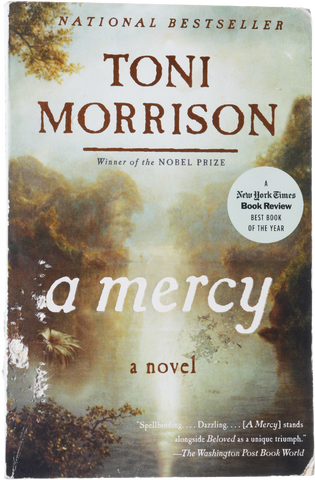 Book cover for A Mercy