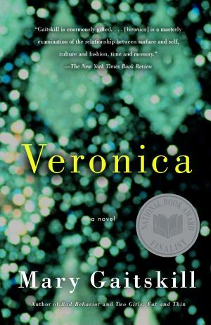 book cover for Veronica by Mary Gaitskill
