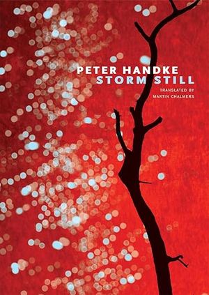 book cover for Storm Still by Peter Handke