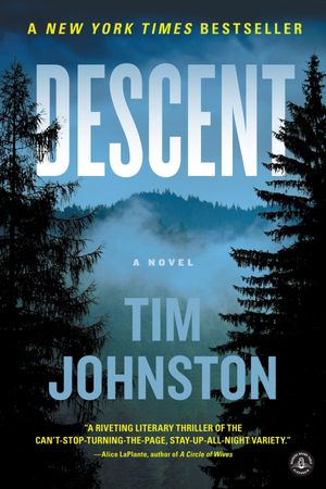 book cover for Descent by Tim Johnston