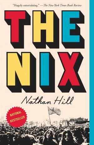 book cover for The Nix by Nathan Hill