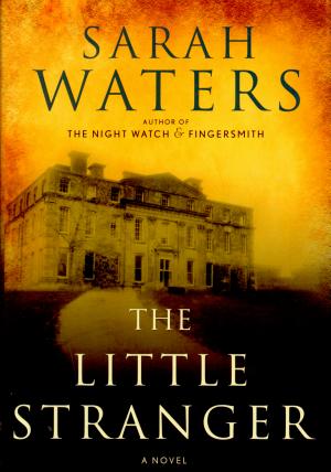 book cover for The Little Stranger by Sarah Waters