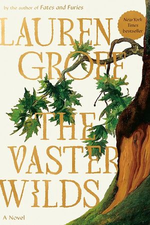 book cover for The Vaster Wilds by Lauren Groff