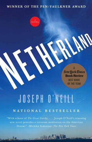 book cover for Netherland by Joseph O’Neill